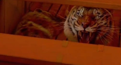 Multimedia Monday: The dreamy, terrifying world of Ang Lee's Life of Pi  movie review – EditorialEyes Publishing Services